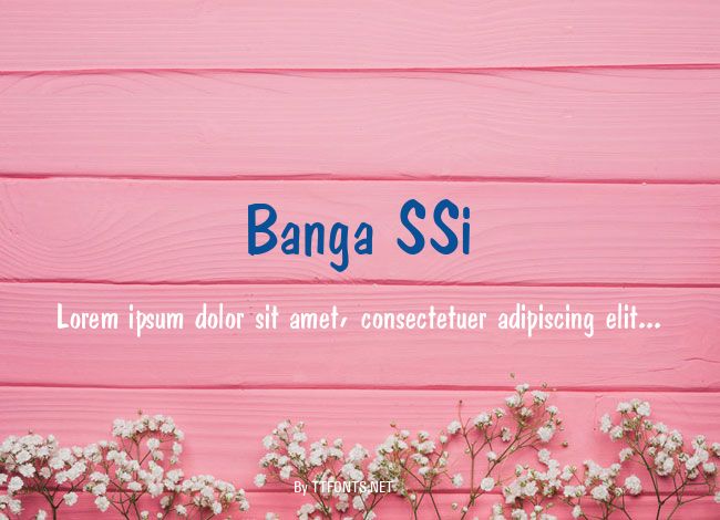 Banga SSi example